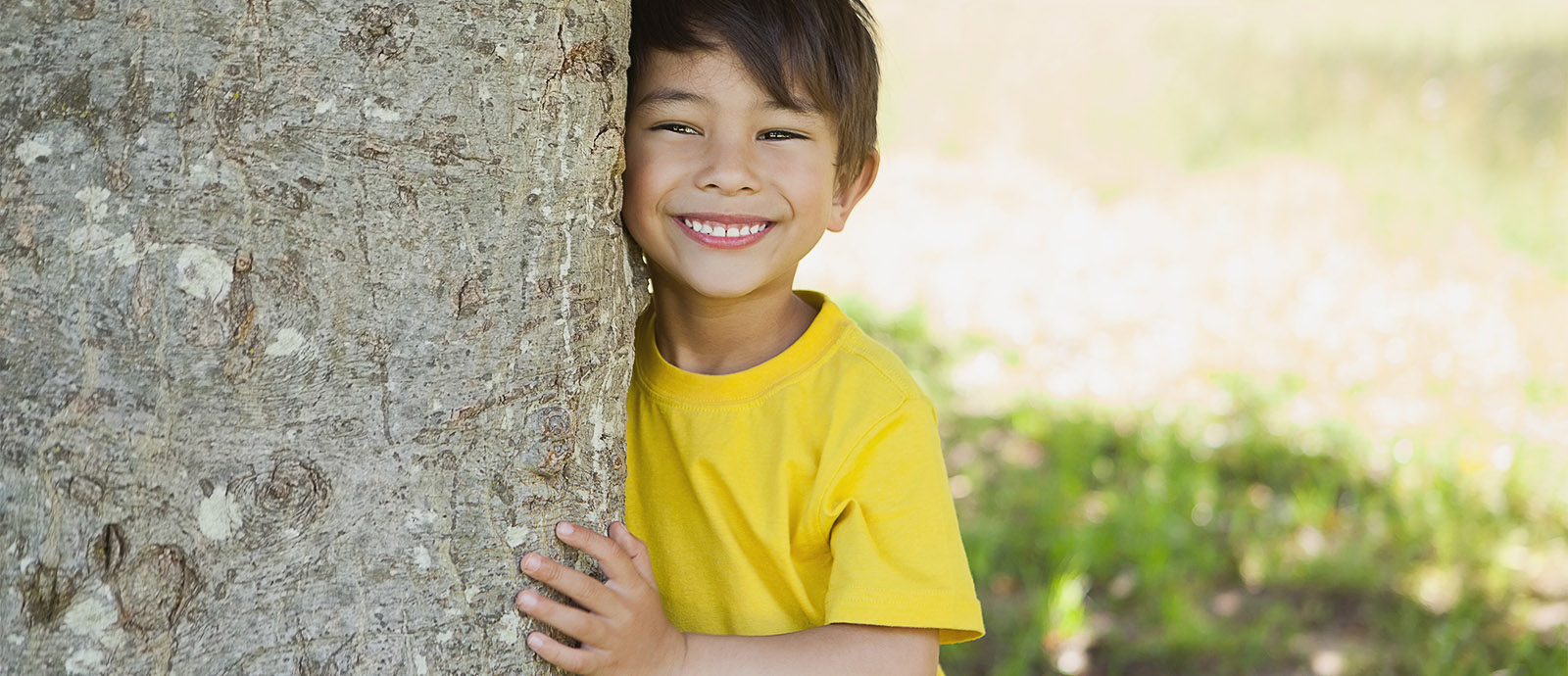 slide-smiling-boy-on-tree-2